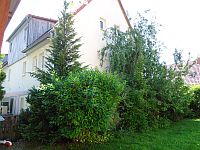 Klick: Bild vergrößern Gewaechse