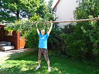 Klick: Bild vergrößern Gewaechse