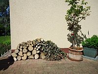 Klick: Bild vergrößern Gewaechse