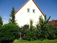 Klick: Bild vergrößern Gewaechse