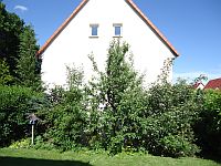 Klick: Bild vergrößern Gewaechse